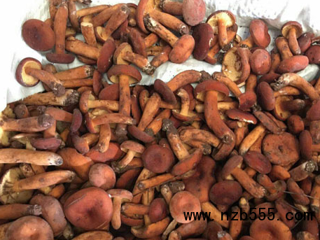 微信截圖_20210315194535