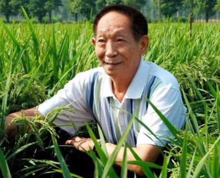 微信截圖_20210526103522