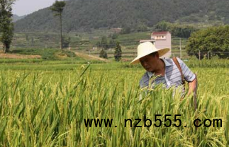 微信截圖_20210615114131