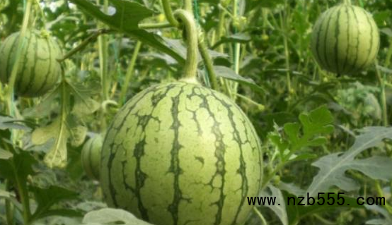 微信截圖_20210623134347