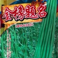 批發(fā)蔬菜種子 華贛翠綠長豆角 基地 菜園 菜場種子 400克廠家供應(yīng)