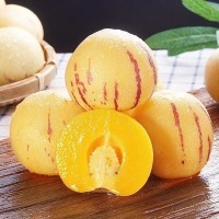 現摘現發云南石林人參果應季新鮮水果樹上熟5斤黃肉多汁整箱批發