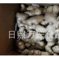 生產(chǎn)工廠(chǎng)供應(yīng)出口生姜，風(fēng)干姜，保鮮姜。