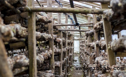 微信截圖_20220401172433