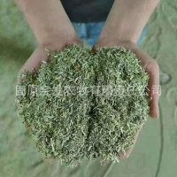 廠家種植新草豚鼠龍貓倉(cāng)鼠紫花苜蓿草粉 刺猬牧草飼草30公斤袋裝