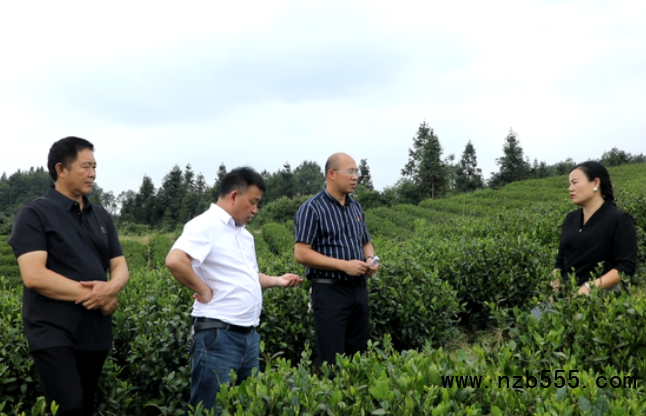 微信截圖_20220524112904