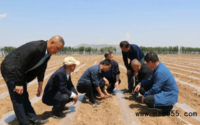 微信截圖_20220524112742