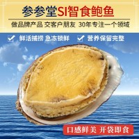 順豐廠家批發(fā)煙臺(tái)鮮活七孔即食鮑魚(yú) 海捕新鮮海鮮佛跳墻食材
