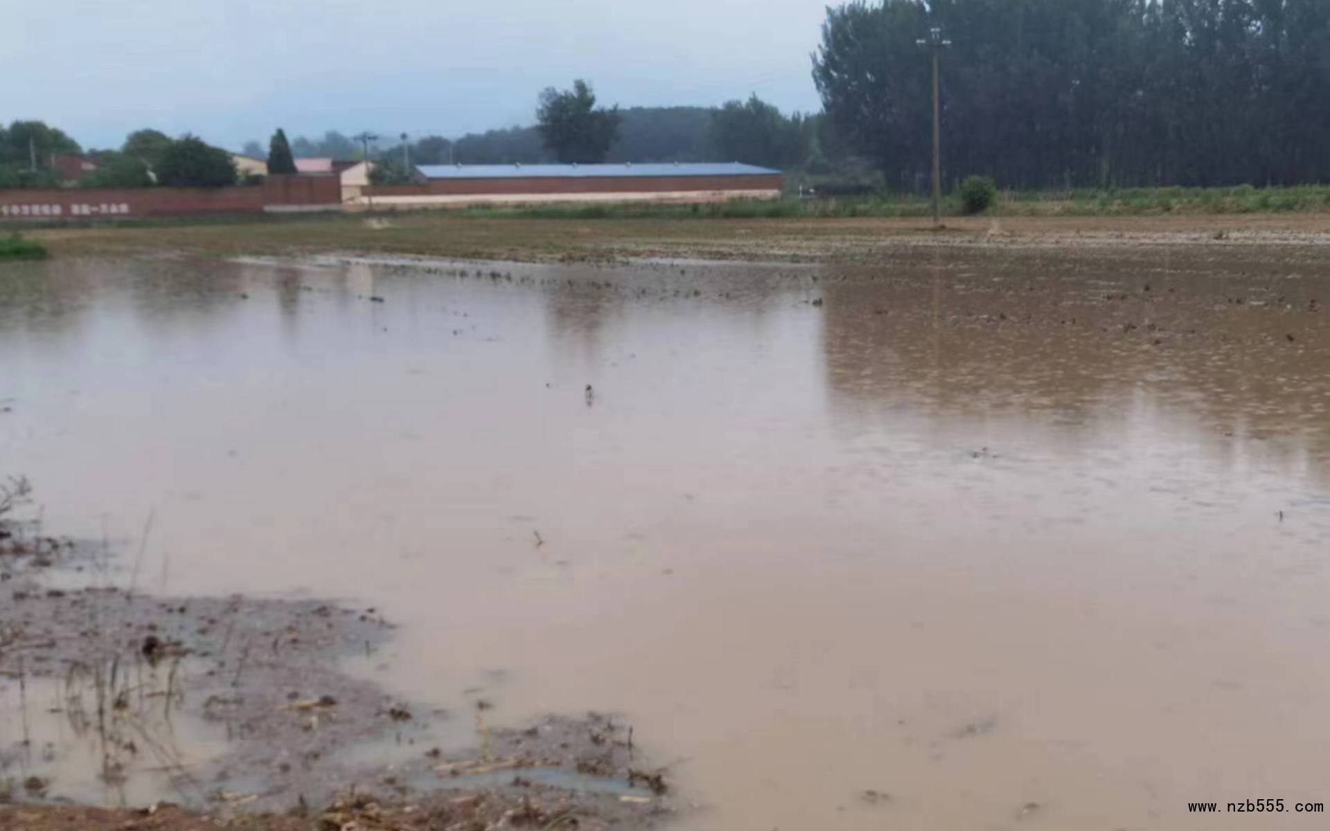 密云河南寨大豆種植地塊積水嚴重。北京市農(nóng)業(yè)技術(shù)推廣站供圖