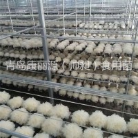 青島康麗源出口銀耳菌棒，銀耳菌包（日本雪耳）