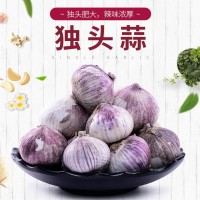 云南農(nóng)家新鮮蔬菜紫皮大蒜獨(dú)頭蒜干大蒜白皮大獨(dú)蒜土蒜現(xiàn)貨直發(fā)（價格面議）