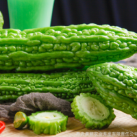新鮮苦瓜現摘當季肥嫩蔬菜 生吃涼拌鮮涼瓜 壽光產地直發(fā)量大從優(yōu) 2件起批