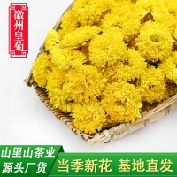 當(dāng)季新花廠(chǎng)家直銷(xiāo)徽州皇菊批發(fā)散裝菊花茶婺源皇菊球菊休寧黃菊花