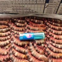 生凍貓虎蝦/斑節蝦，一盒4斤，一件6盒