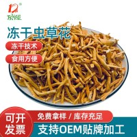 廠(chǎng)家供應(yīng)蟲(chóng)草花凍干蟲(chóng)草花產(chǎn)地貨源直銷(xiāo)