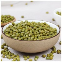廠家批發(fā)五谷雜糧綠豆現(xiàn)磨豆?jié){粥類點心烘焙原材料新綠豆   2件起批