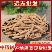 農產(chǎn)品批發(fā)遠志 產(chǎn)地貨源散裝遠志肉抽芯率高各種規(guī)格 量大從優(yōu)