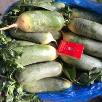 優(yōu)惠銷售水果青蘿卜，青皮青瓤及紫紅皮紫紅瓤蘿卜，甜脆可口