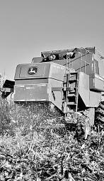 耕耘不輟， 闊步邁向農業強國