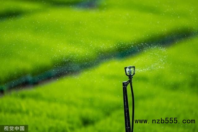 2023年5月27日，江蘇昆山，錦溪錦辰農機專業(yè)合作社，智慧噴淋系統(tǒng)在旱地育秧田里進行補水。人民視覺 資料圖