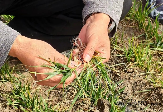 微信截圖_20250318171530