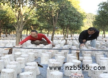 微信截圖_20250407170917