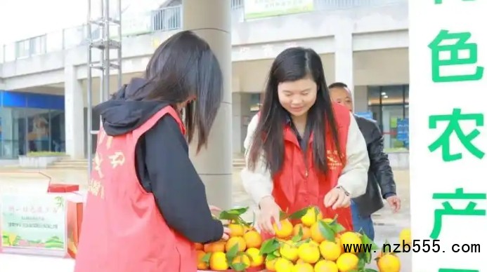 微信截圖_20250414173651