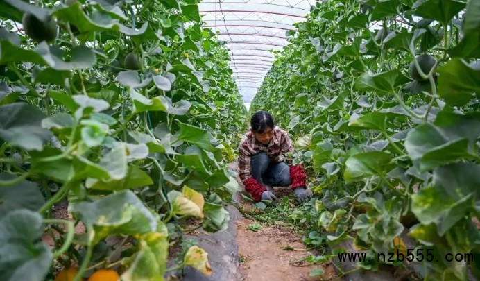 微信截圖_20250506170333