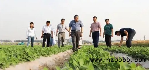 微信截圖_20250515165603