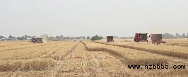 微信截圖_20250526135126