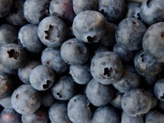 藍莓怎么種植？藍莓種植技術要點