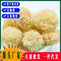 仿椴木小銀耳干貨秋沐新貨糯耳羹出膠雪耳古田干貨白木耳銀耳批發