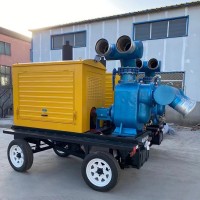 廠家可定做防汛排污移動(dòng)泵車 河流湖泊防汛抽水泵 多功能柴油泵車