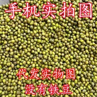 綠豆批發(fā)一件代發(fā)新貨綠豆量大從優(yōu)糕餅笨綠豆湯粥易熟新鮮綠豆