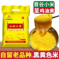 山西黃小米正宗晉谷21號(hào)小米新小米農(nóng)家自種繁峙羊肥小米月子米