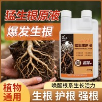 定制猛生根原液強(qiáng)力生根壯苗劑生根粉液移栽扦插果樹花卉通用促根