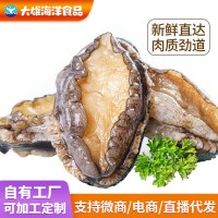撈汁鮑魚鮮凍鮑魚批發鮑魚商用鮑魚肉商用帶殼活凍鮑魚批發撈汁