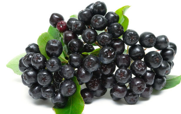 ScreenShot_2026-01-21_165758_542