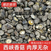 河南春栽香菇 冬菇 平腳肉厚干凈 烘干處理 源頭產(chǎn)地實(shí)力工廠