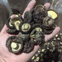 香菇干貨批發散裝 東北黑面香菇水菇冬菇古田產地直銷 干香菇