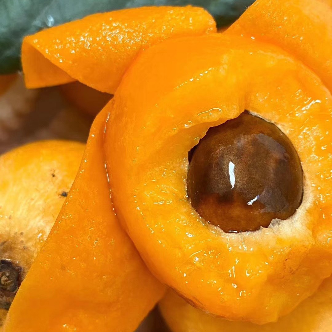 O1CN01xDaoLe1L70Tmqandc_!!2200797221251-0-cib