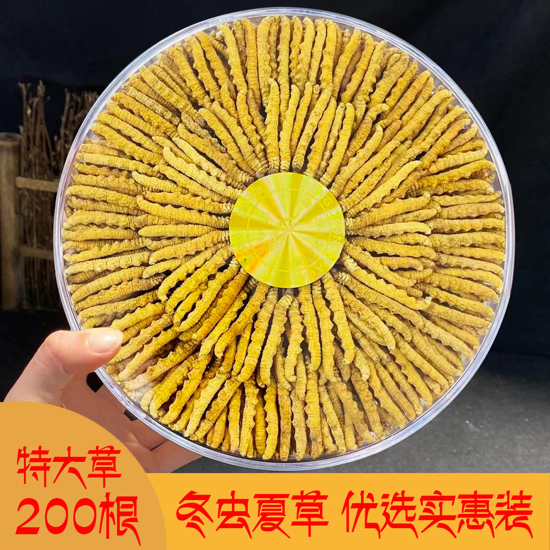 O1CN01dw0gnc1pZLLsfmlGd_!!3343355374-0-cib