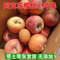 批發(fā)新疆阿克蘇櫻桃小蘋果孕婦寶寶新鮮水果產(chǎn)地發(fā)當季代發(fā)