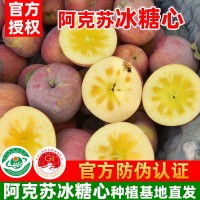 新疆阿克蘇冰糖心蘋果產(chǎn)地直發(fā)核心紅旗坡農(nóng)場種植基地現(xiàn)發(fā)孕婦