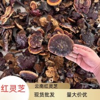 云南現(xiàn)貨批發(fā)紅靈芝多規(guī)格現(xiàn)貨直批散裝現(xiàn)貨金邊靈芝
