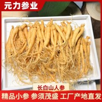【人參批發(fā)】長(zhǎng)白山保鮮參袋裝泡酒參火鍋煲湯廠家高麗參