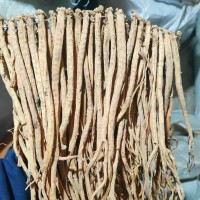 【康源】黨參個批發(fā)優(yōu)質整條黨參優(yōu)質貨源產地直供