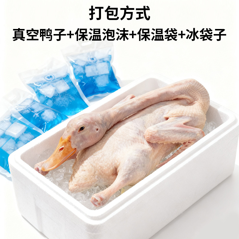 O1CN01xRXqA71qxS1mhQwM4_!!2216029575562-0-cib