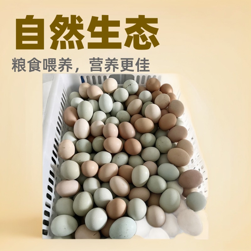 O1CN01jK5ecm262gm94c67E_!!6000000007604-0-cib