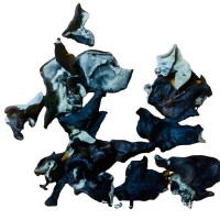 白背木耳包郵批發水洗去沙無渣山東小木耳白背木耳